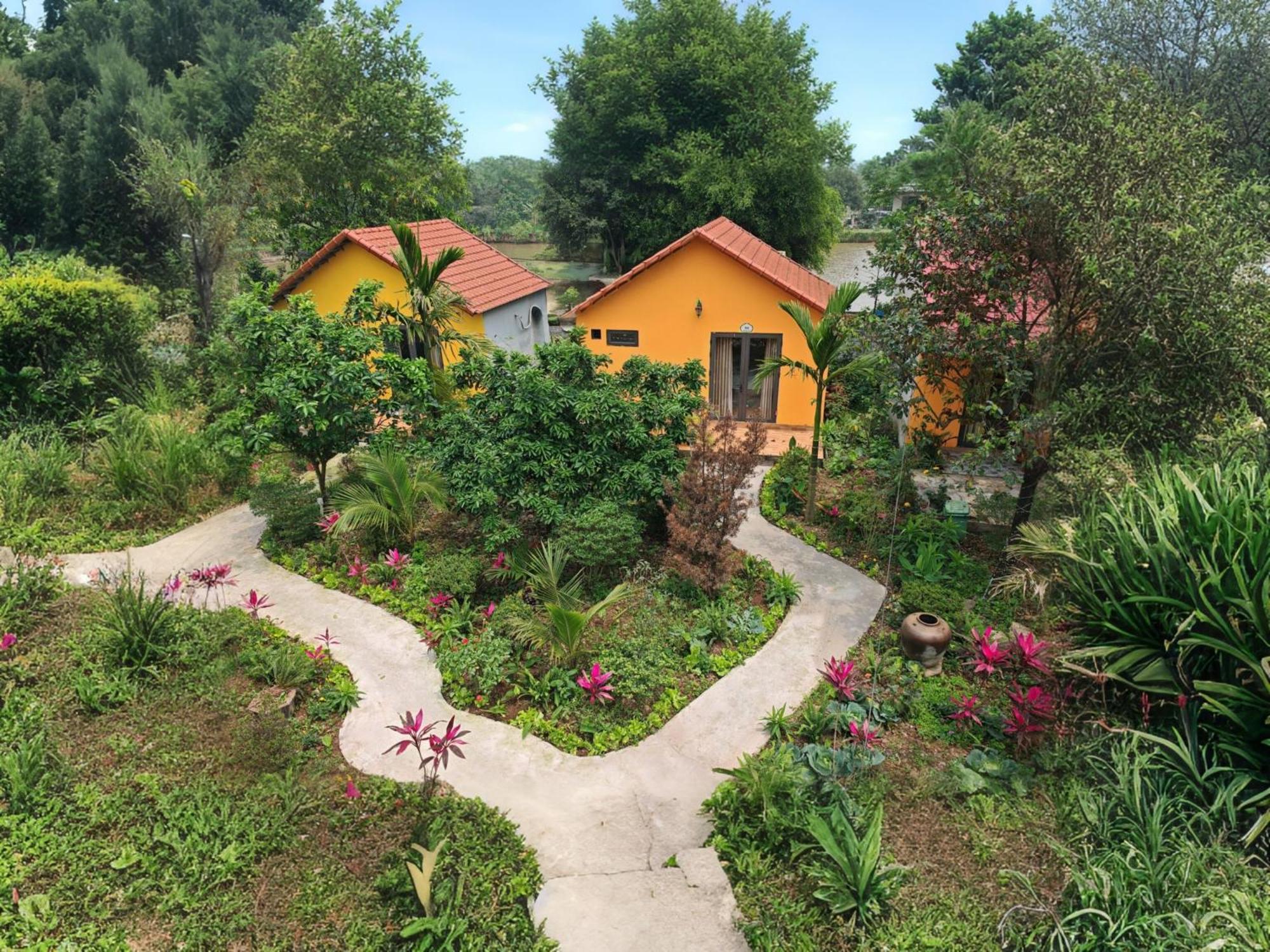Ninh Binh Peaceful Retreat Exterior foto
